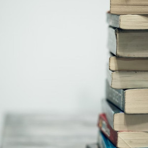 Во Владимирской области самые качественные школы оказались в Радужном