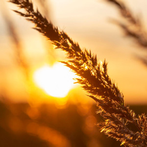 Прогноз погоды во Владимире и области на 23 мая