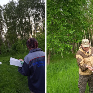 Во Владимирской области с бешенством животных будут бороться оральными вакцинами