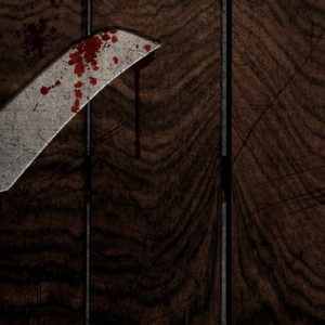 Жительницу Александровского района осудили на 7,5 лет за убийство возлюбленного