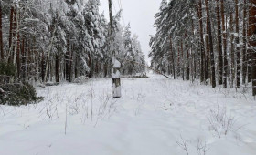 «Фрэнсис» оставил без света 32 населенных пункта Владимирской области