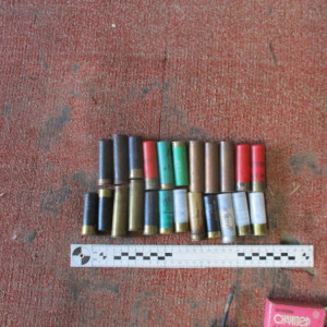 В Гороховце под суд пойдет браконьер из Нижнего Новгорода
