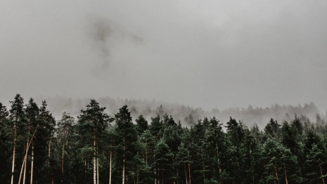 Во Владимирской области прогремел взрыв