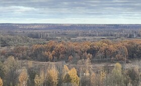 Во Владимирской области чрезвычайную пожарную опасность продлили до 30 сентября