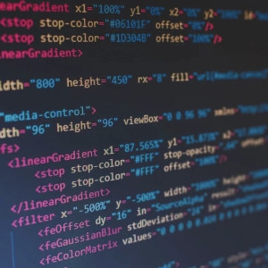 Хакер из Владимира планировал взломать сайт правительства