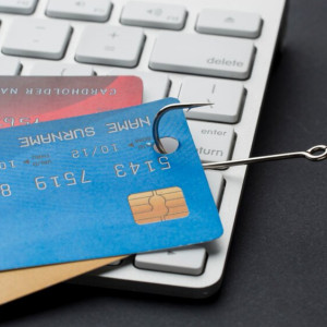 Во Владимирской области жители за неделю перевели более 23 млн рублей IT-мошенникам