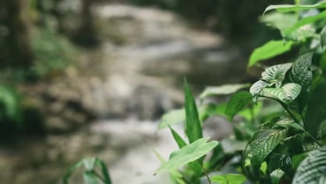 Во Владимире пропавшую 41-летнюю женщину в толстовке нашли живой