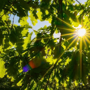 Пятый день Великого поста: что можно и нельзя 22 марта