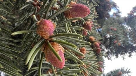 Прогноз погоды во Владимире и области на 27 апреля