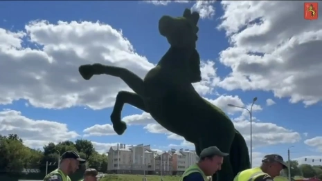 Во Владимире на зиму убрали часть топиарных фигур