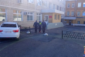 В Коврове вандала задержали за разгром у памятника Зои Космодемьянской