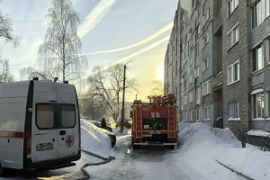 На пожаре в Муроме мужчина и женщина отравились угарным газом