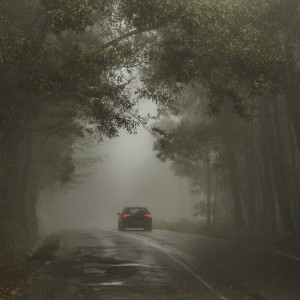 Загадочно пропавшего пенсионера из Владимирской области нашли мертвым