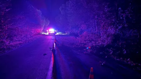 Во Владимирской области два пассажира ВАЗа погибли из-за пьяного водителя