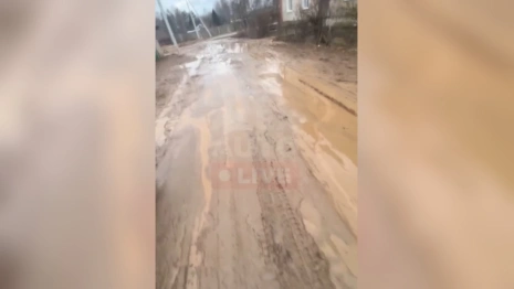 Жители Карабаново бросили крик о помощи из-за превратившейся в грязевое месиво дороги