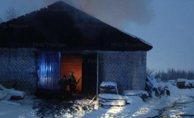 В Муроме мощный пожар охватил пилораму