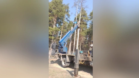 В Киржаче жители пожаловались на нависшие над могилами сухие деревья