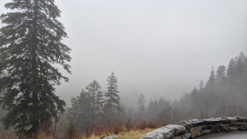 Прогноз погоды во Владимире и области на 7 декабря 2025 года