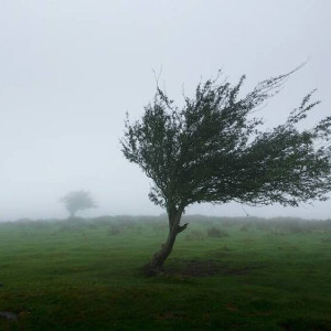 На Владимирскую область надвигается буря