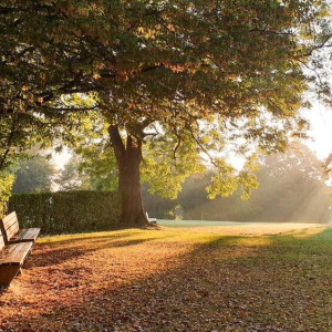 Начало рабочей недели во Владимире будет теплым