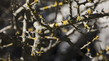 Во Владимирской области на рабочей неделе потеплеет до +10 градусов