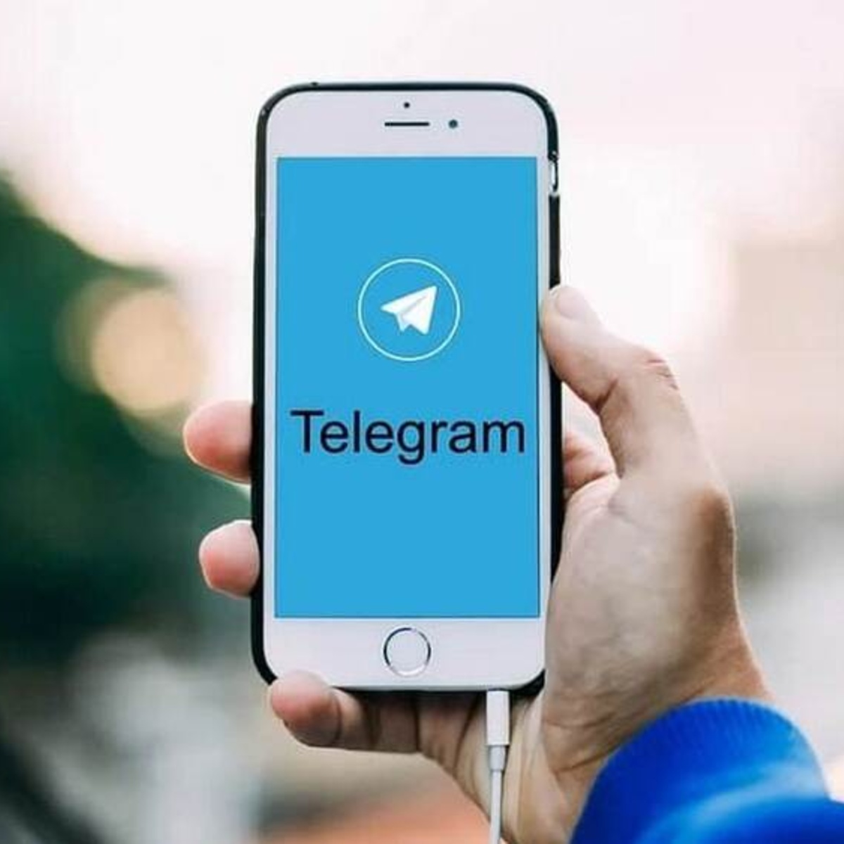 Администрация Владимирской области запустила сомнительный чат-бот в  Telegram - День во Владимире