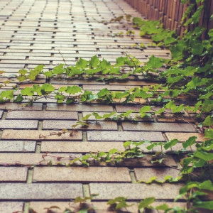 Во Владимире запланировали создать новый пешеходный маршрут от вокзала