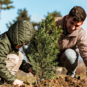 Владимирская область опередила график восстановления лесов