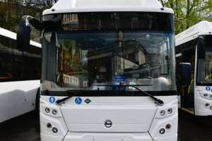 Владимир после четырех провальных аукционов получил 14 новых автобусов