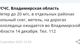 Во Владимирской области спрогнозировали метель 14 декабря