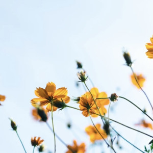 Во Владимирской области потеплеет до +10 градусов