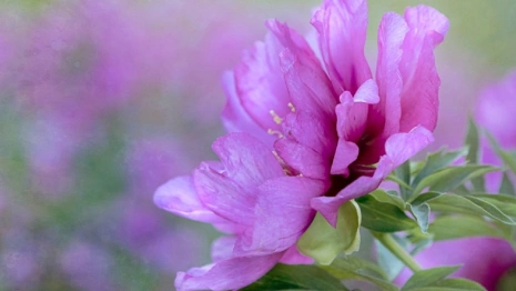 В выходные температура во Владимире побьет климатический рекорд 