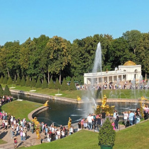 С владимирских туристов начнут взимать курортный сбор в Санкт-Петербурге