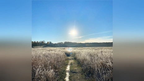 Первые заморозки ударили по Владимирской области