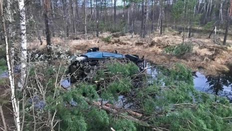 Во Владимирской области водитель улетел в болото и погиб
