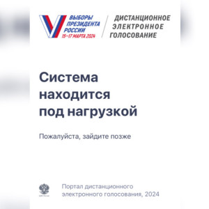 Владимирцы пожаловались на перебои в работе портала дистанционного голосования