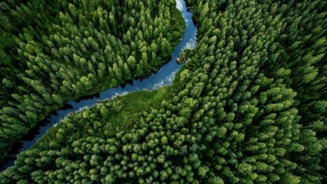 Во Владимирской области нашли двух пропавших женщин