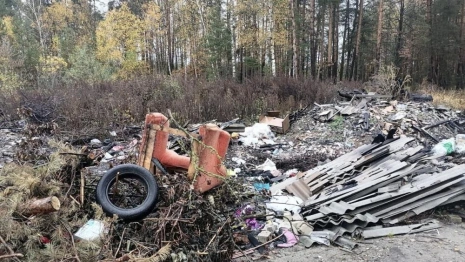 В Селивановском районе нашли 5 стихийных свалок