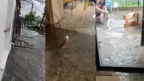 Центр современной культуры «Флигель» во Владимире назвал причину потопа