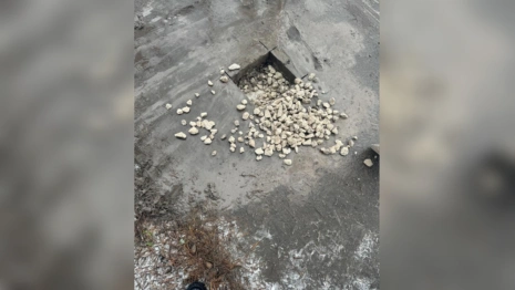 Ремонт тротуара в Петушках привел к уголовному делу о мошенничестве