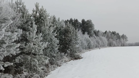 Волонтеры прекратили поиски 61-летней жительницы Мурома в красной куртке