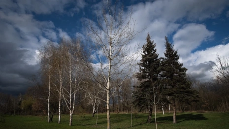 Корнилов день: что можно и нельзя делать 26 сентября