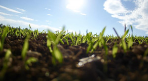 Антициклон подарит городу Владимиру летнее тепло