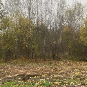 В Кольчугинском районе подрядчик сорвал установку ФАПа за 4 млн рублей