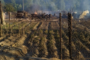 Жители владимирского поселка о страшном пожаре: «Сгорело все – от лопат до машин»