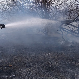 Во Владимирской области объявили о завершении пожароопасного сезона