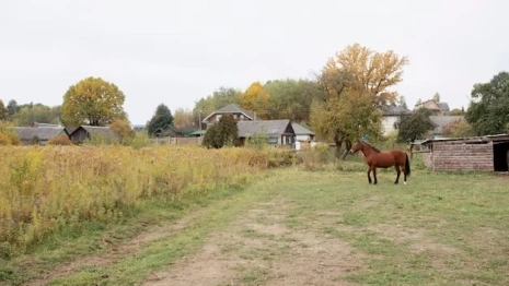 Во Владимирской области стартовал прием заявок на конкурс сельских старост