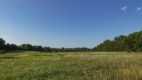 Во Владимирской области многодетные добились подведения коммуникаций к участкам