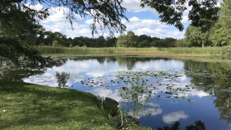 Во Владимире начали поиски нового подрядчика для благоустройства садов у ДТЮ