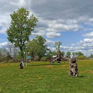 Во Владимирской области на благоустройство районов направят более 7 млн рублей  